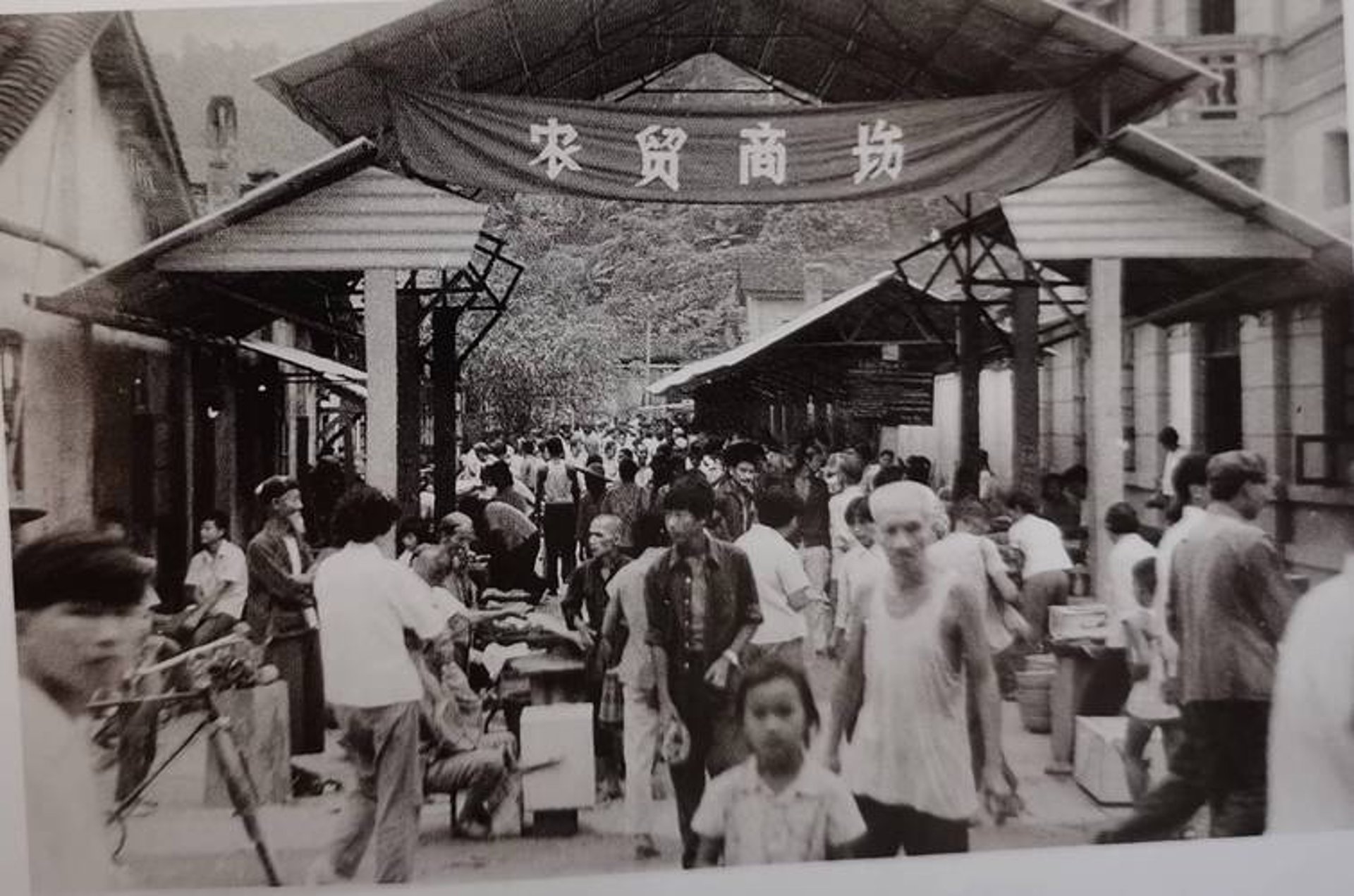 维裕进出口